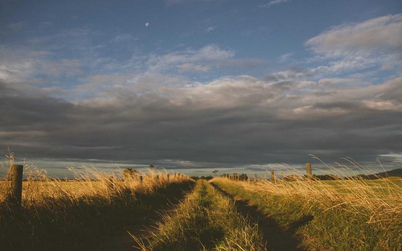 Muzeum Picassa (Málaga)